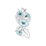 zeelconnor的头像-昔尘源分享